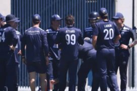 Geelong Men’s cricket