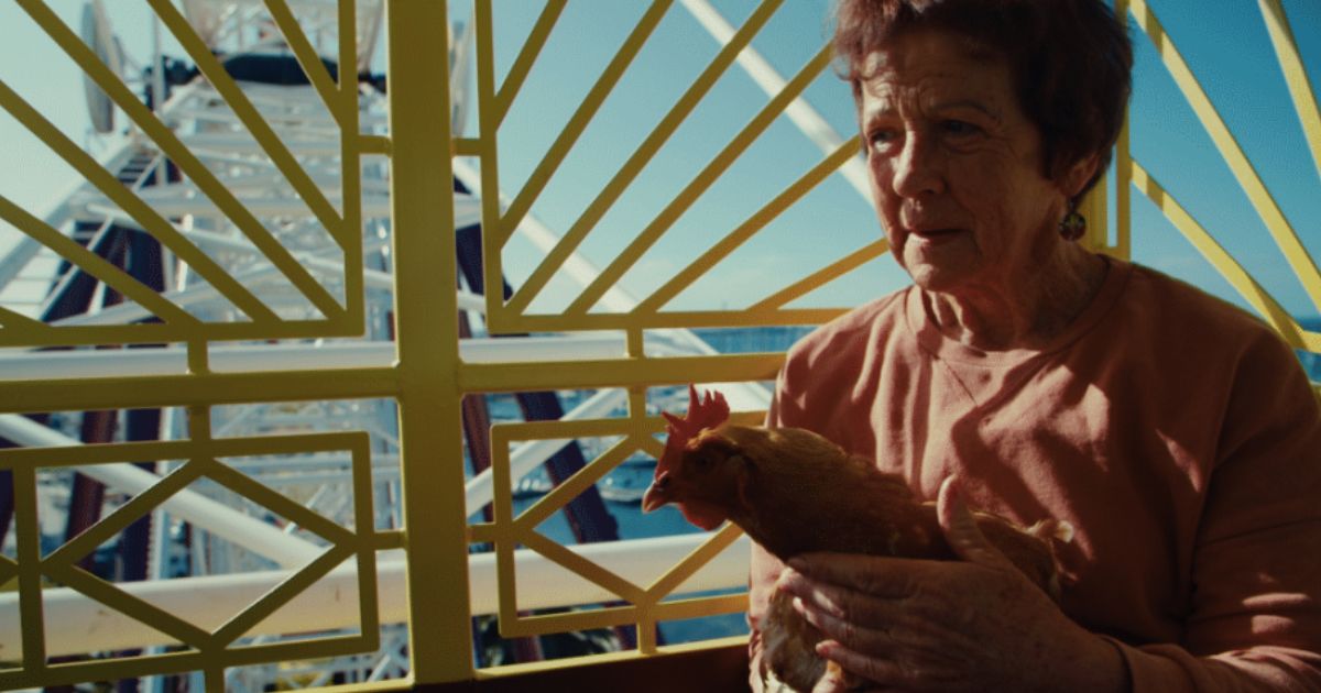 Mother of Chooks documentary