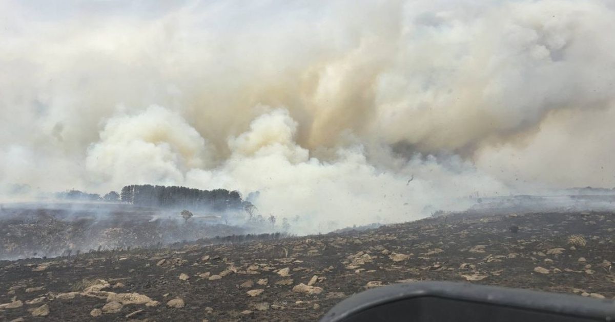 Otways bushfire update
