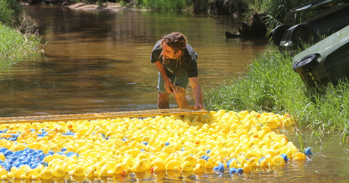 Shelford duck race