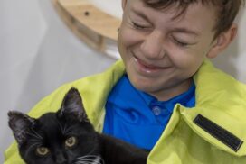 Bushfire kitten adoption