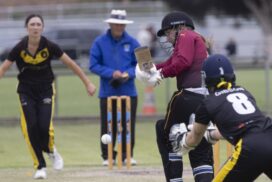 Geelong Women's Cricket Premiers
