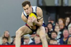 Cats Suns Clash