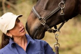 Torquay stockfeed and rural supplies