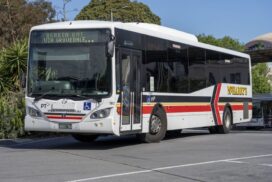 Bellarine bus review