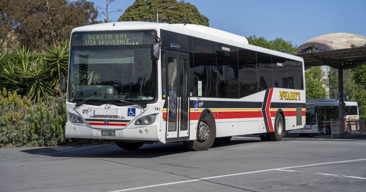 Bellarine bus review