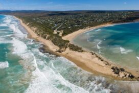 Anglesea coastal town snapshot