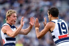 Geelong Cats competition