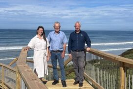 Collendina Beach stairs upgrade