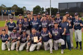 Geelong baseball participation