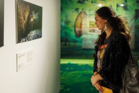 Wildlife photography exhibition