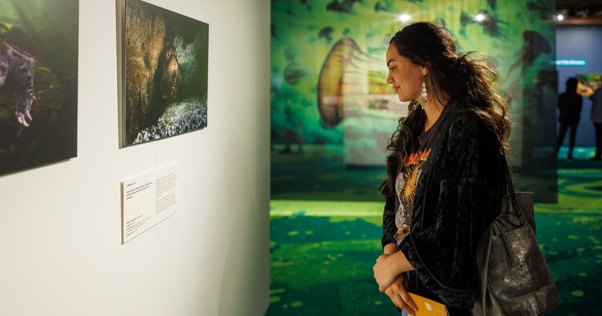 Wildlife photography exhibition