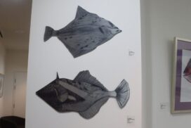 Paul Walsh Epworth Geelong