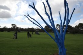 Blue Tree Day golf