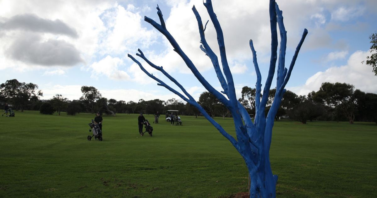 Blue Tree Day golf