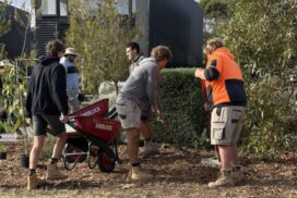 Study horticulture Geelong
