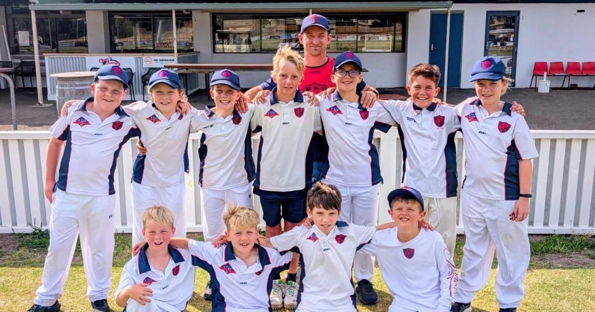 free junior cricket