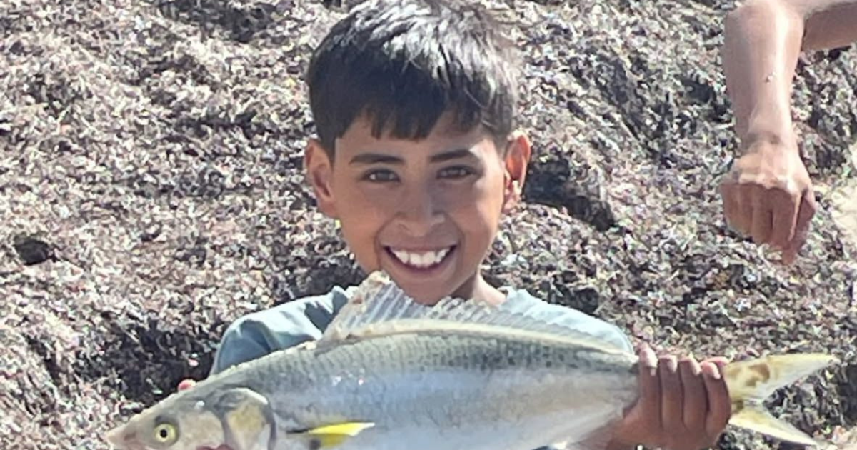 Victoria rainbow trout stocking