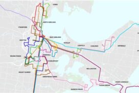 Geelong bus network review