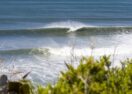 Bells Beach Junior