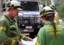 Forest firefighter jobs