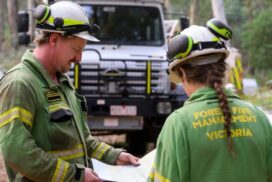 Forest firefighter jobs