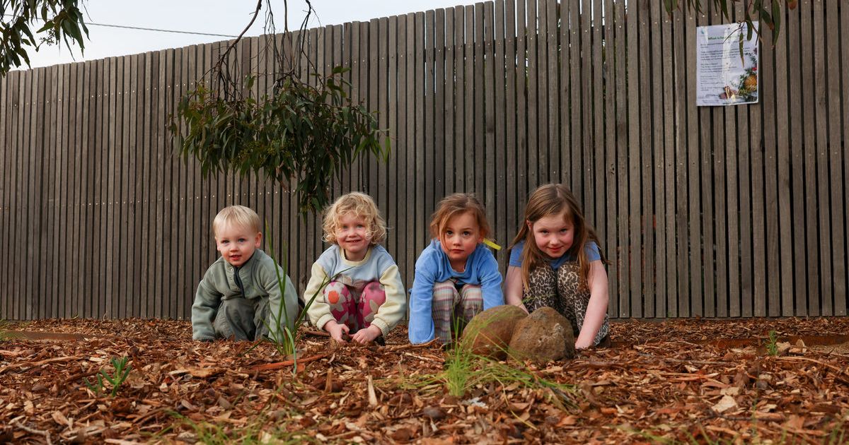Ocean Grove native habitat