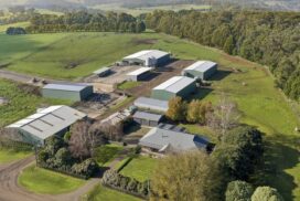 Cooriemungle Farm For Sale