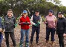 Ocean Grove Nature Reserve