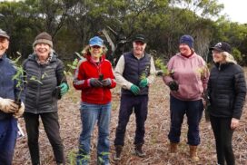 Ocean Grove Nature Reserve
