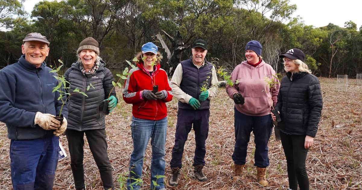 Ocean Grove Nature Reserve