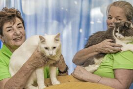 Friends of the Pound