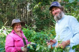 Mullumbimby working bee