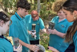 Youth disaster training