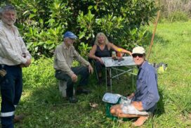 Uki RiverCare planting