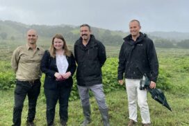 Invasive weed control