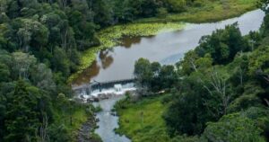 Rous water supply