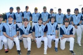 Lismore baseball carnival