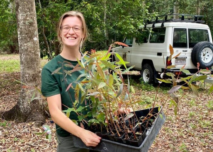 Urban tree planting grants