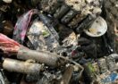 Battery Disposal Safety