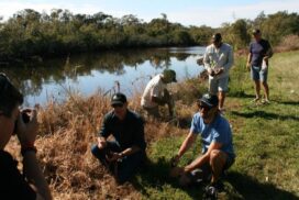 Fish habitat restoration