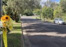 Bangalow road safety