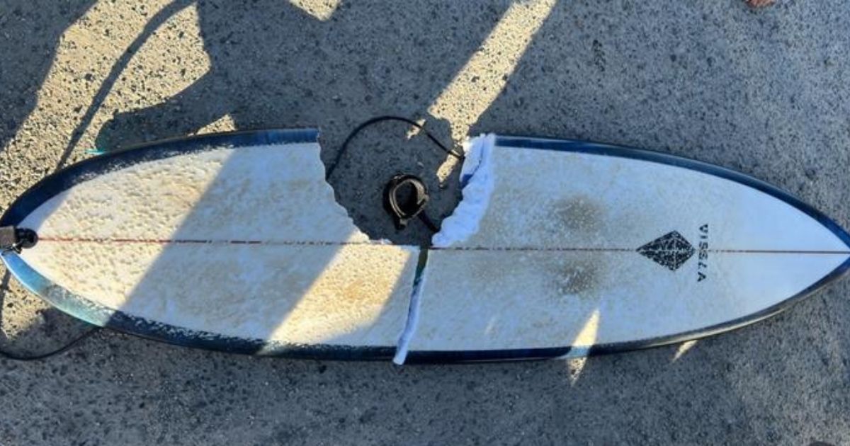 Lifeguards closed Cabarita Beach after a surfer’s board was bitten by a suspected great white shark. Photo: SUPPLIED