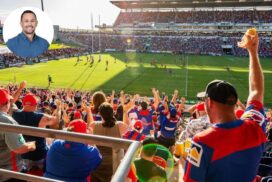 Knights coaching search