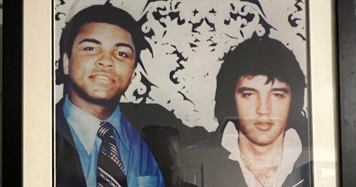 Ballina sports memorabilia auction domestic violence