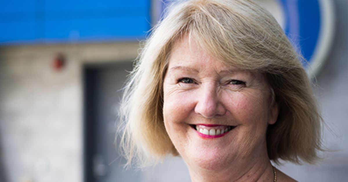 kinship care support project SCU