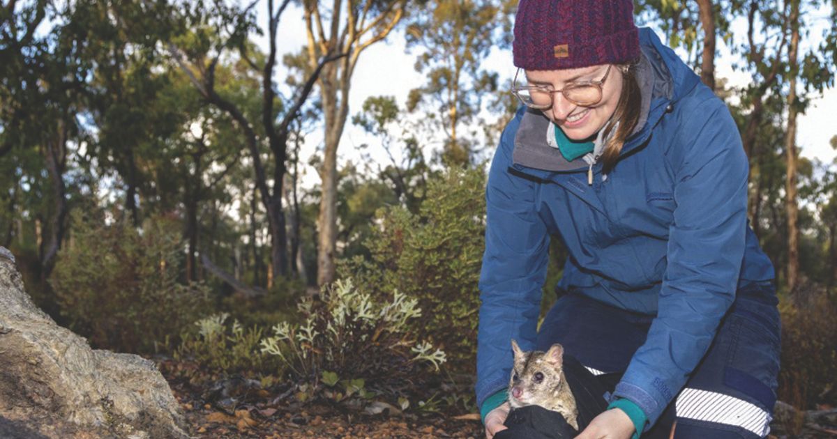 Mongo Valley Sanctuary