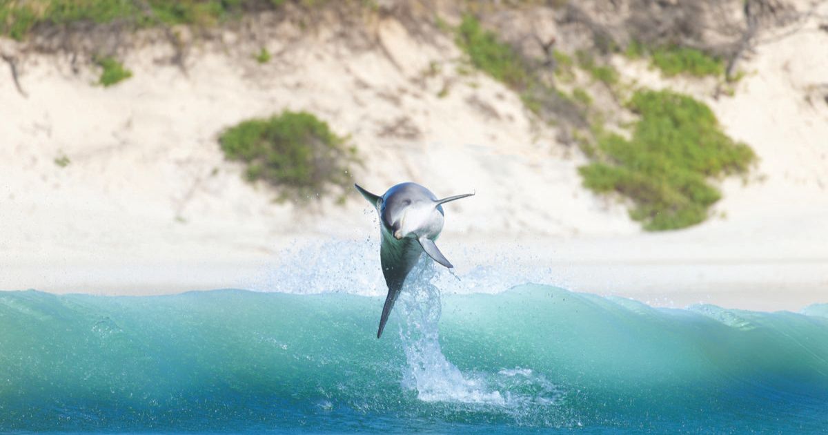 Byron Bay Hope Spot