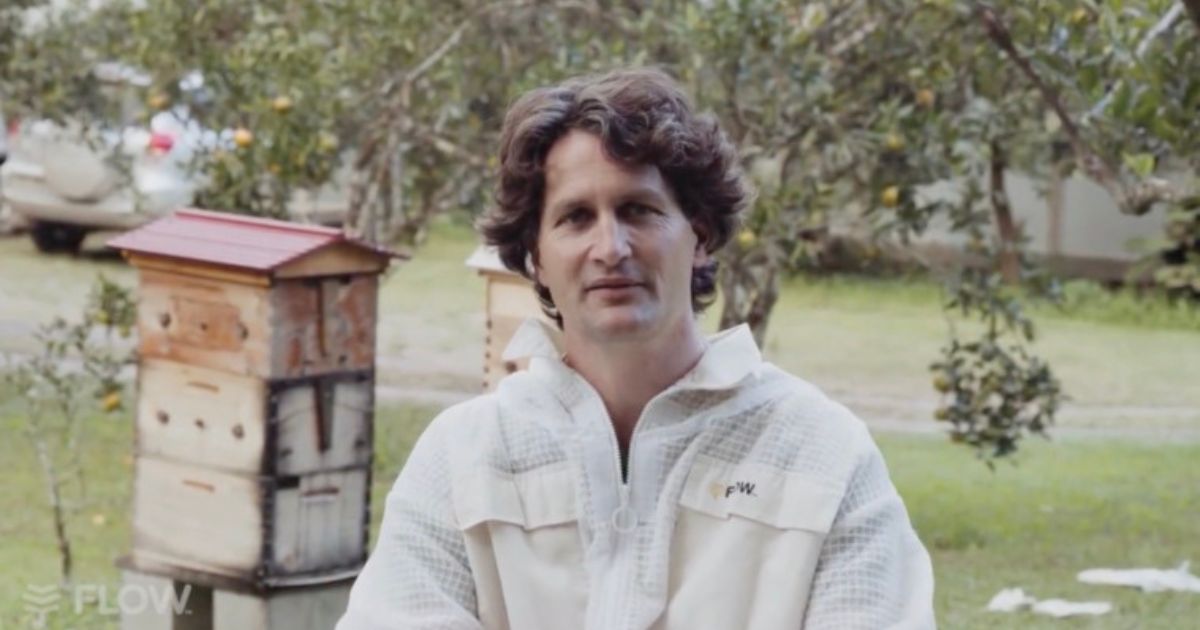 Mullumbimby beekeeper board game