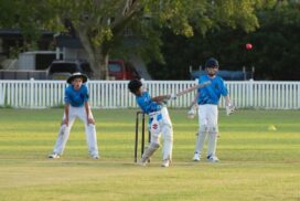 Ballina Bears junior Big Bash cricket